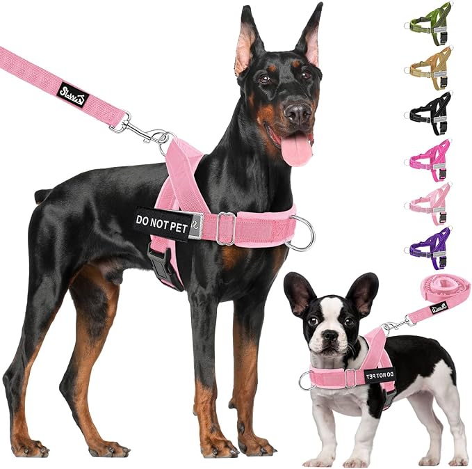 Lukovee No Pull Dog Harness and Leash Set, Soft Padded Vest with Front Clip | Adjustable, No Choke, Reflective,Durable Easy Control Pet Vest Harness for Safe Walking for Medium Large Dogs (Pink, L) - Image 9