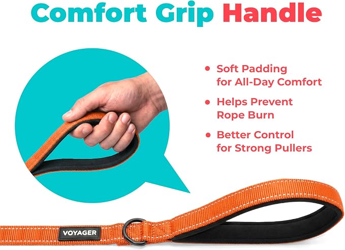 Best Pet Supplies Voyager Nylon Dog Leash - Orange, Medium | 5ft in Length, 3/4" in Width, Reflective, Soft Neoprene Handle, Heavy Duty Metal Clips for Running, Walking & Training - Image 5