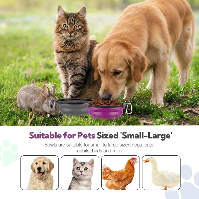 Collapsible Dog Bowl Large 34oz, Travel Dog Water Bowl Portable | 2 Pack, 2 Carabiner Clips, Silicone Travel Dog Bowl Foldable, Feeding Watering Dish Bowl, for Parking, Walking, Camping - Image 2