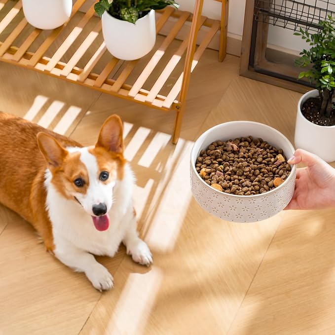 MALACASA Ceramic Dog Food Bowl, Water Dish for Medium Breeds, 3.5 Cups | Five-Leaf Grass Pattern, Ceramic Pet Bowl, Food and Water Dish, Dishwasher and Microwave Safe, for Medium Dogs - Image 7