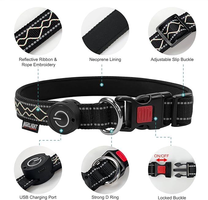 Rechargeable LED Dog Collar for Night Walking, Embroidered Rope Light | The LED light is visible from 360 degrees, anti-loss and enhancing outdoor walking safety(Small Multicolor) - Image 3