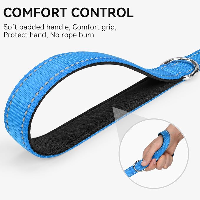 Joytale Reflective Dog Leash for Medium & Large Dogs, 4 FT x 1", Sky Blue | Heavy Duty Nylon Webbing, Padded Handle for Comfort, Visible at Night, for Walking & Training - Image 3