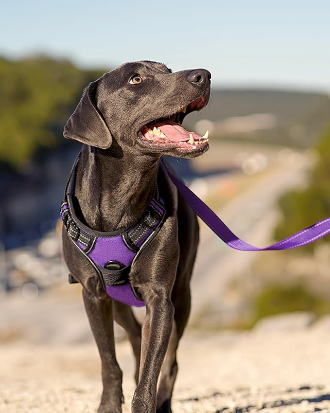 Joytale No Pull Dog Harness Medium Sized Dog, Front Clip, Purple | Grab Handle for Instant Control, Padded & Adjustable Vest, Sturdy Metal D-Rings, for Safe Training & Daily Walking - Image 6