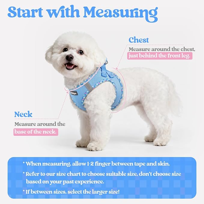 rabbitgoo Dog Harness Small Sized and Leash Set, Step-in Puppy Pet Vest | Light, Soft, Breathable Air Mesh, Easy on and Remove with Hook & Loop, Secure Reflective for Walking, Blue & Plaid Trim XXS - Image 2