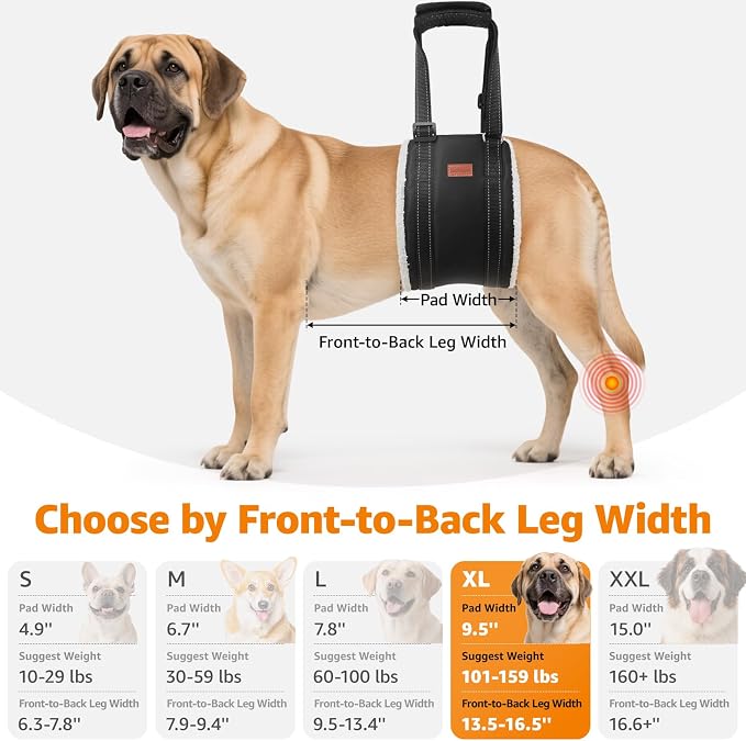 LOOBANI Dog Lift Harness for Large Dogs Hind Leg Support for Weak Rear Legs | Walking & Stair Assistance, Senior Dog Mobility, Padded Comfort, Adjustable Fit, Lightweight Nylon, Soft Plush Lining - Image 5