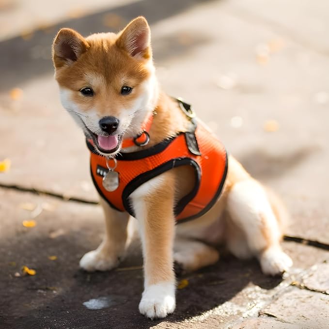 PUPPIA International Puppia Harness Soft B Vest Orange XLarge - Image 4