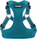 Voyager Step-in Flex Adjustable Dog Harness - Turquoise, Large | 20 - 25" in Chest, Fully Adjustable, Reflective Bands, All Weather Breathable Air Mesh, Lightweight, Fast Drying by BestPetSuppliesLLC