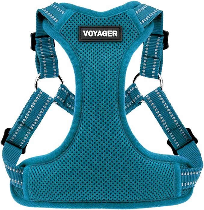 Voyager Step-in Flex Adjustable Dog Harness - Turquoise, Large | 20 - 25" in Chest, Fully Adjustable, Reflective Bands, All Weather Breathable Air Mesh, Lightweight, Fast Drying by BestPetSuppliesLLC