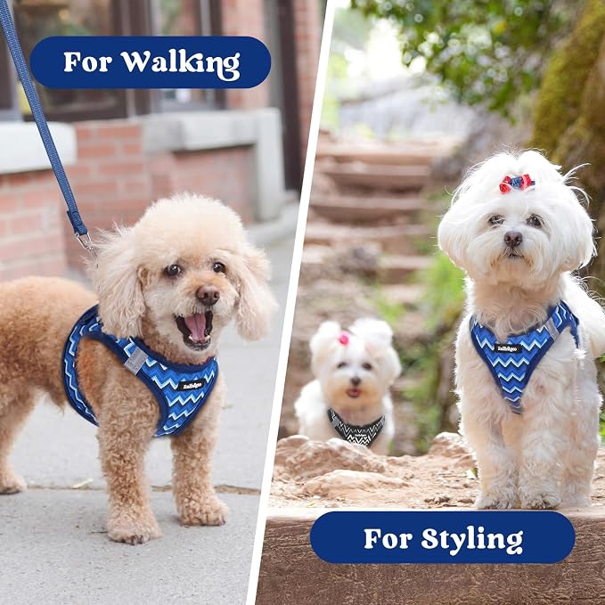 rabbitgoo Step-in Small Dog Harness, Puppy Vest for Small Medium Sized Pet | Easy Put on and off, Lightweight, Soft, Breathable Quick-Dry Air Mesh for Comfortable Secure Walking, Blue Zigzag L - Image 9