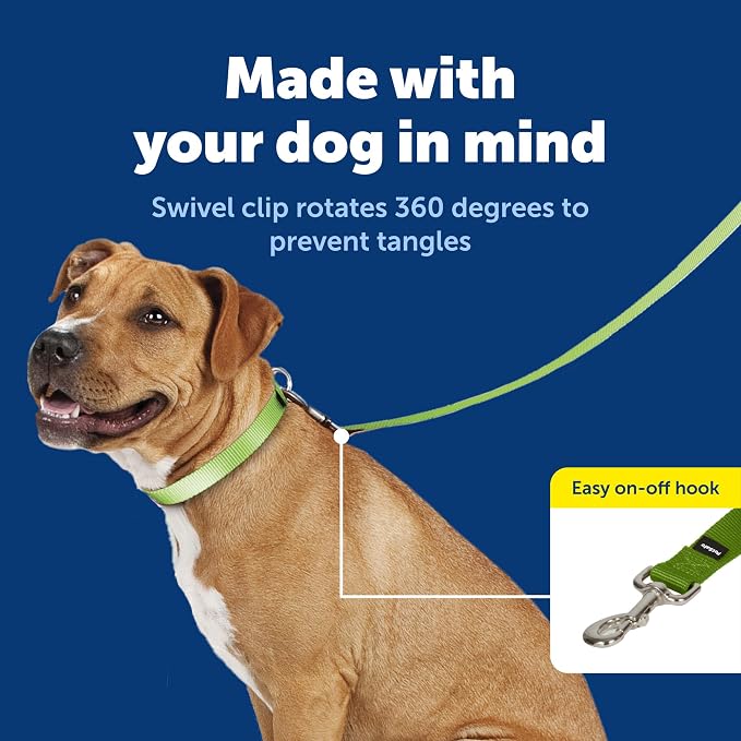 PetSafe Nylon Dog Leash - Strong, Durable, Traditional Style Leash with Easy to Use Bolt Snap - 3/4 in. x 6 ft., Apple Green | Durable Nylon Leash with Easy on/off Bolt Snap Hook, Pairs Perfectly with Easy Walk Harness and Gentle Leader Headcollar - Image 3