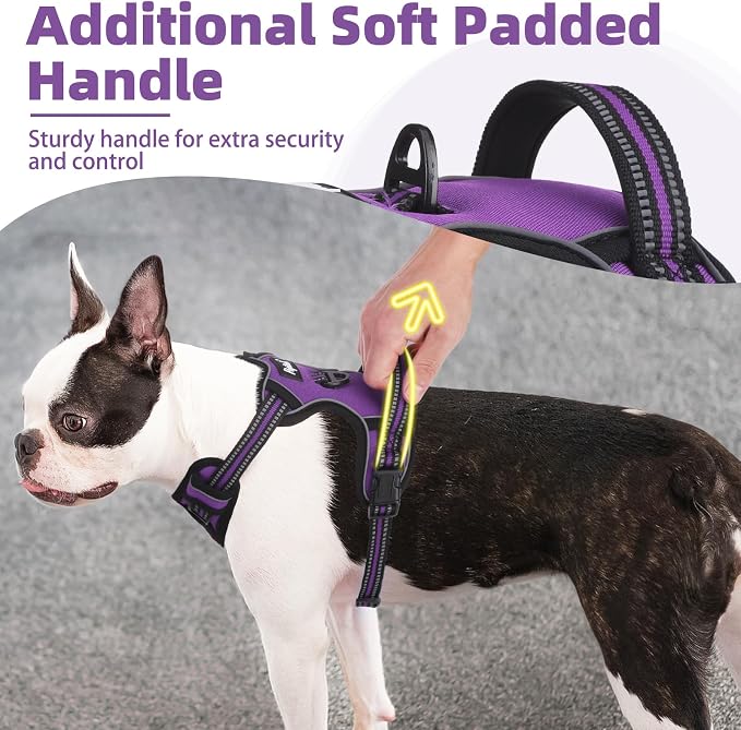 PUPTECK No Pull Dog Harness Medium Sized, Adjustable Reflective Dog Harness with Handle Easy Control, Comfortable Soft Padded Pet Vest Harness for Medium Dogs, Solid Purple M - Image 2