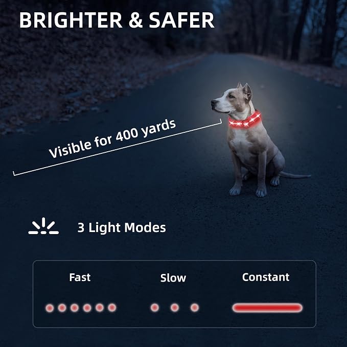 Super Bright LED Dog Collar, Waterproof Light up Collars(Red, S) | Lighted Dog Collar with Adjustable Fit, Soft Nylon Comfort, USB-C Rechargeable, Glow in the Dark Visibility for Night Walks - Image 6
