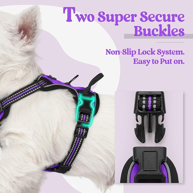 rabbitgoo Dog Harness No Pull with 2 Leash Clips, Adjustable Soft Padded, Reflective Oxford No Choke Pet Vest with Easy Control Handle for Puppy, Purple,XS | No Choke with Handle, Adjustable Soft Padded, Reflective, Easy Control for Walking, Purple, X-... - Image 3