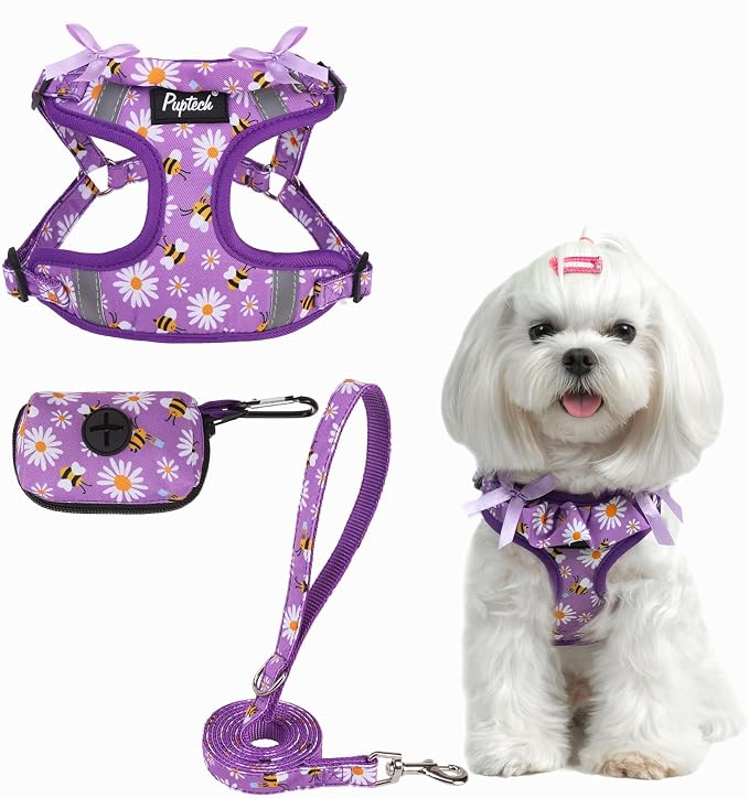 PUPTECK Dog Harness and Leash Set Small Sized, Step in No Pull Adjustable Puppy Cat Harness Reflective Pet Vest by PUPTECK
