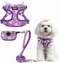 PUPTECK Dog Harness and Leash Set Small Sized, Step in No Pull Adjustable Puppy Cat Harness Reflective Pet Vest by PUPTECK