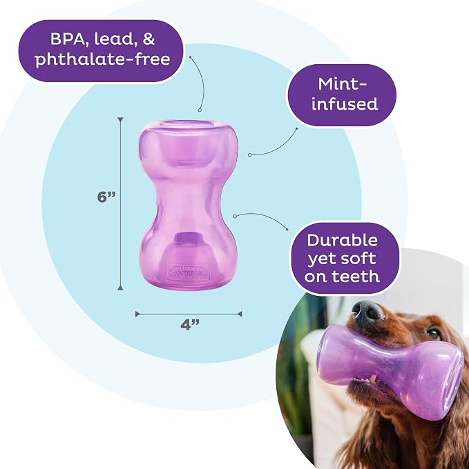 Outward Hound Double Snoop Interactive Treat Dispensing Dog Toy, Purple, 6" | Rolls & Bounces, Treat Stuffer, Puzzle Ball & Slow Feeder, Enrichment, Mint Scented, Easy Clean, No BPA, Medium to Large Dogs - Image 3