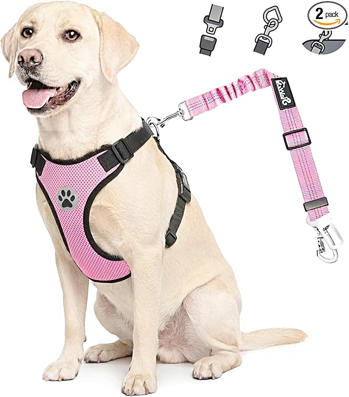 Lukovee Dog Car Harness Seat Belt, Harness & Seatbelt with 2 in 1 Buckle | Adjustable Soft Breathable Mesh Harness, Reflective Elastic Reflective Tether, for Small Medium Large Dogs Pets (A-Pink, XS) by Lukovee