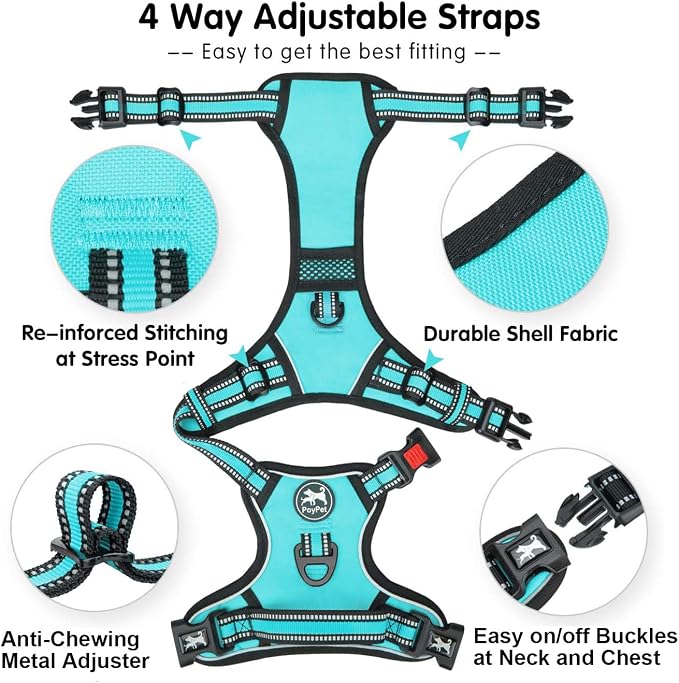 PoyPet Dog Harness Medium, No Pull Vest with Front/Back Clip & Neck Buckle | No Choke, Lockable, Reflective, 2 Lead Rings, Adjustable, Soft Padded Handle for Training Walking, M, Mint Blue - Image 3