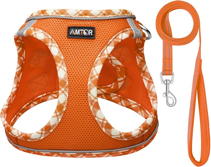 AMTOR Small Dog Harness with Leash Set, No Escape Easy Walk Puppy Harnesses for Training Walking, Step-in Reflective Soft Dogs Vest for XS S Medium Extra-Small Large Sized Dog(Orange/White,XS) - Image 2