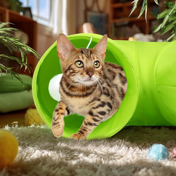 Cat Tunnel, 2-Way Collapsible Cat Tube with Interactive Peek-A-Boo Hole, Toy Ball, and Rope – Ideal for Indoor Cats, Kittens, and Rabbits (Green) - Image 6