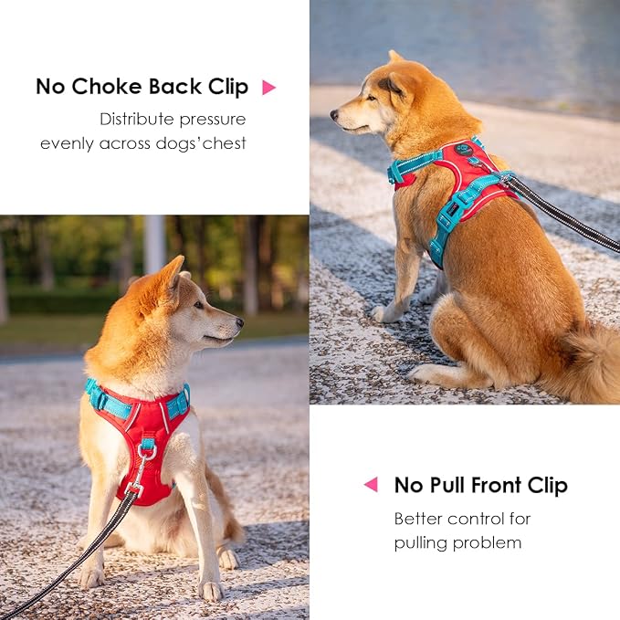 No Pull Dog Harness, Unique Colors Reflective Adjustable Dog Vest, with Soft Training Handle Metal Clips for Small Medium Large Dogs (Red Base & Teal Straps,XS) - Image 4