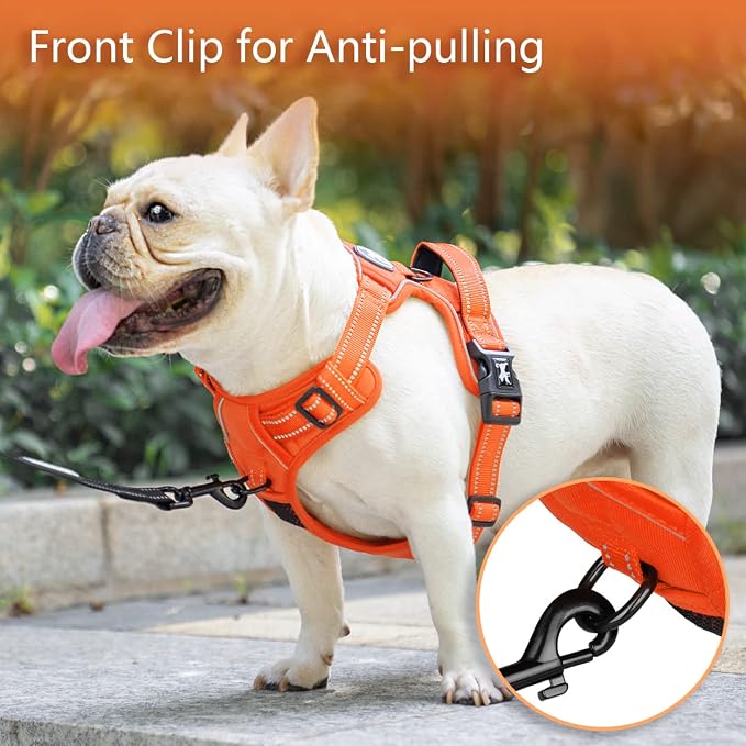 PoyPet No Pull Dog Harness, Reflective Vest with 2 Leash Clips & Handle | Lockable Neck Release Buckle, No Choke, Adjustable, Soft Padded, for Walking Training, Orange Matching Trim, Large - Image 4