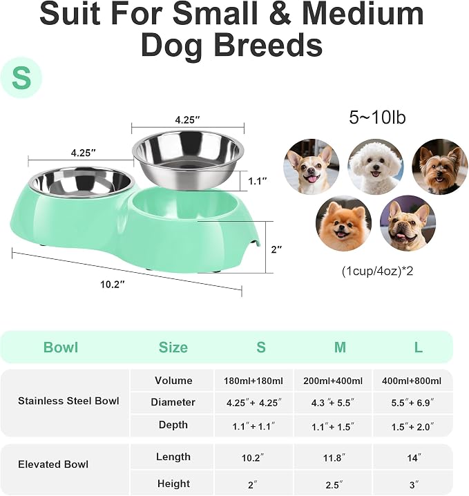 Stainless Steel Dog Bowls Set – Dual Non-Slip Pet Dishes with 2 Small (4oz*2) Bowls & Durable Resin Stand,Food & Water Feeder for Puppies, Kittens, and Small Breed Dogs - Green - Image 2
