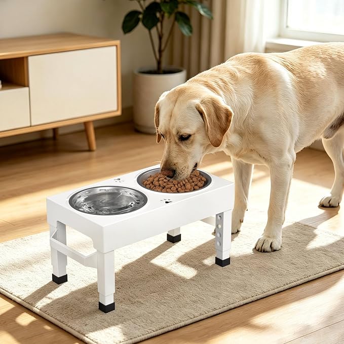 Elevated Dog Bowls Stand Large Breed, Height Adjustable Raised Dog Bowls Holder with 2 Stainless Steel Food Bowls for Small, Medium and Large Canine，White - Image 2