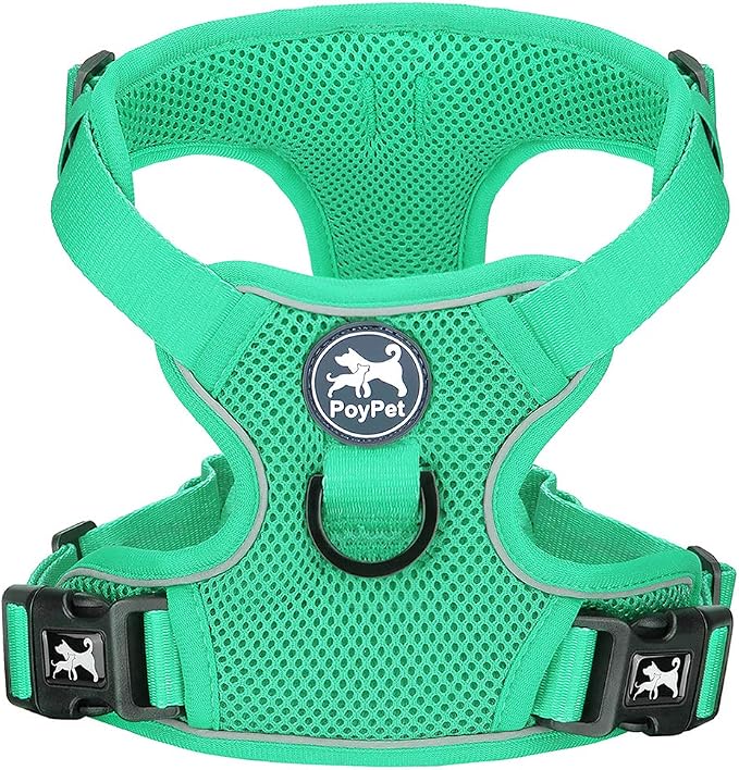 PoyPet Mesh Dog Harness, Reflective Breathable Puppy Vest for Small Dogs | Lightweight, Soft Air Mesh, Back D-ring, Adjustable, Comfortable, Double Padded, No Choke, for Daily Walking, XS, Mint Green by PoyPet