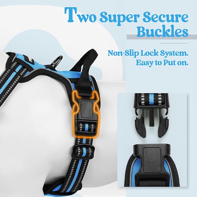 rabbitgoo Dog Harness, No Pull Medium Sized with 2 Leash Clips, Pet Vest | No Choke with Handle, Adjustable Soft Padded, Reflective, Easy Control for Walking, Blue, Medium - Image 3