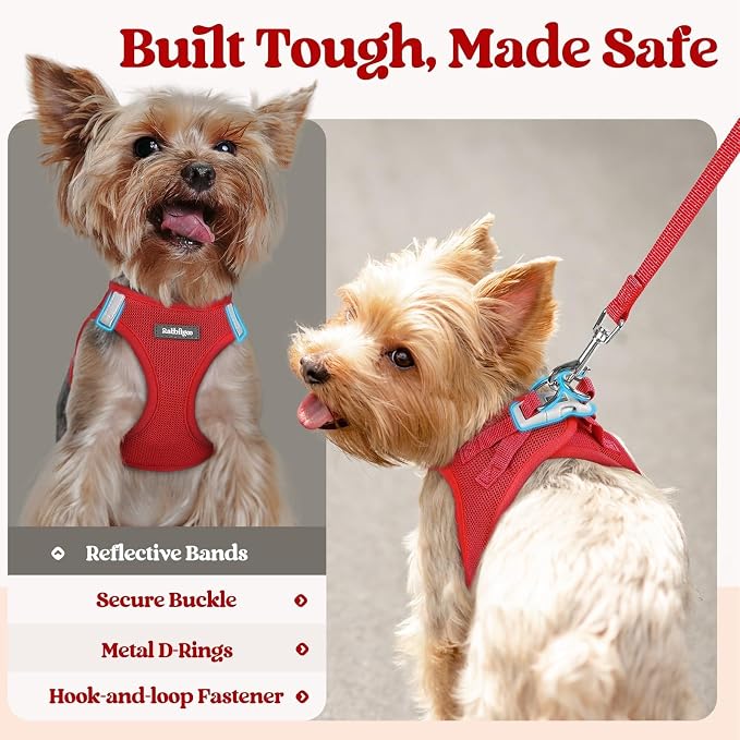 rabbitgoo Dog Harness Small Sized and Leash Set, Step-in Puppy Pet Vest | Light, Soft, Breathable Air Mesh, Easy on and Remove with Hook & Loop, Secure Reflective for Walking, Red XXXS - Image 7