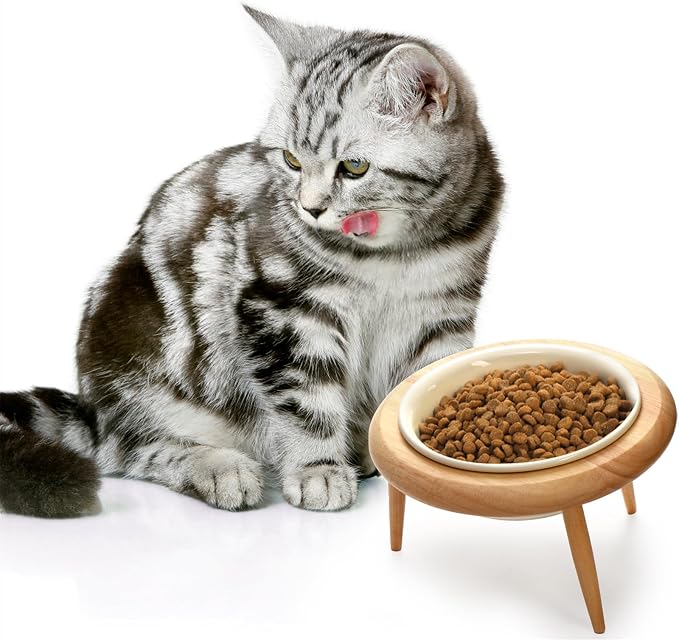 DEAYOU Ceramic Cat Bowl Adjustable, Tilted Elevated Raised Pet Dish, No Spill Pet Food Water Feeder, Slanted Dog Bowl with Wood Stand for Kitty, Pet Supplies, Stress Free, 600 ML/20 OZ, Cream White - Image 6