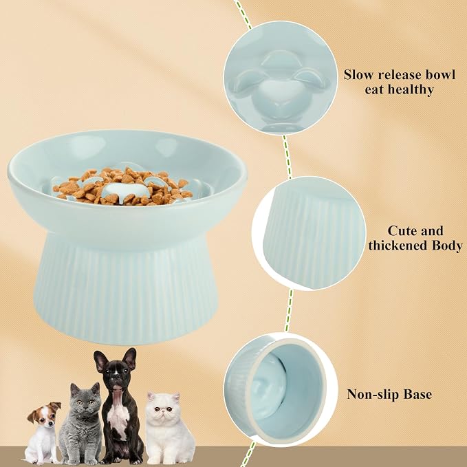 ABuff 2 Pack Raised Cat Slow Feeder, Elevated Slow Feed Dish for Cats and Small Dogs, Ceramic Slow Feeder Cat Bowl, No Spill High Edge for Dry/Wet Food(Blue, Green) - Image 4