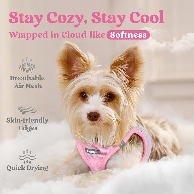 rabbitgoo Step-in Small Dog Harness, Puppy Vest for Small Medium Sized Pet | Easy Put on and off, Lightweight, Soft, Breathable Quick-Dry Air Mesh for Comfortable Secure Walking, Light Pink & Gray L - Image 3