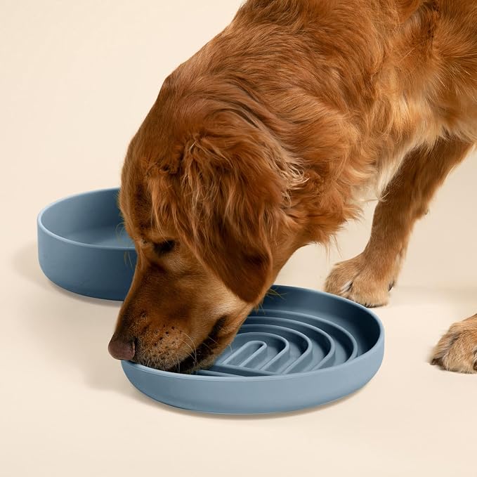 Should We Go? Slow Feeder Dog Bowls - Large Size Silicone Slow Eating Dog Bowl for Puppies & Dogs with Suction Cup -Dishwasher-Safe, Lick Mat Design, Reduces Gulping,for All Breeds,9.5”x1.5”- Ocean - Image 2