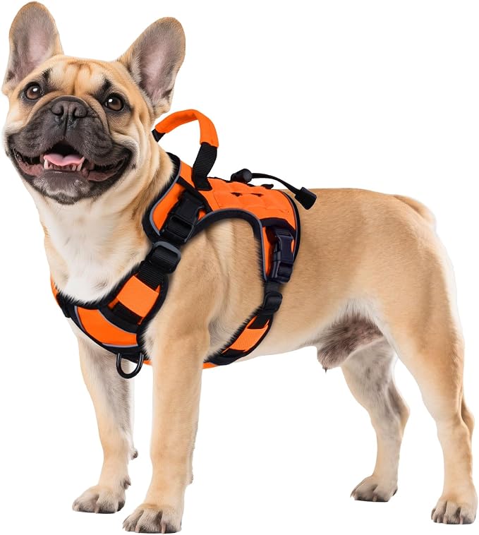 WINGOIN Orange Tactical Dog Harness for Small Dogs,No Pull Dog Harness | Heavy Duty with Handle,Adjustable Reflective,Military K9 Body Pet Vest,for French Bull Pugdog,for Walking Training Running by WINGOIN
