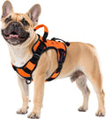 WINGOIN Orange Tactical Dog Harness for Small Dogs,No Pull Dog Harness | Heavy Duty with Handle,Adjustable Reflective,Military K9 Body Pet Vest,for French Bull Pugdog,for Walking Training Running by WINGOIN