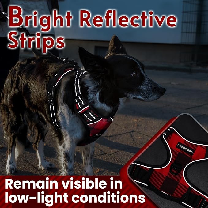 rabbitgoo Dog Harness, No Pull for Large Dogs with 2 Leash Clips, Pet Vest | No Choke with Handle, Adjustable Soft Padded, Reflective, Easy Control for Walking, Red Plaid, Small - Image 7