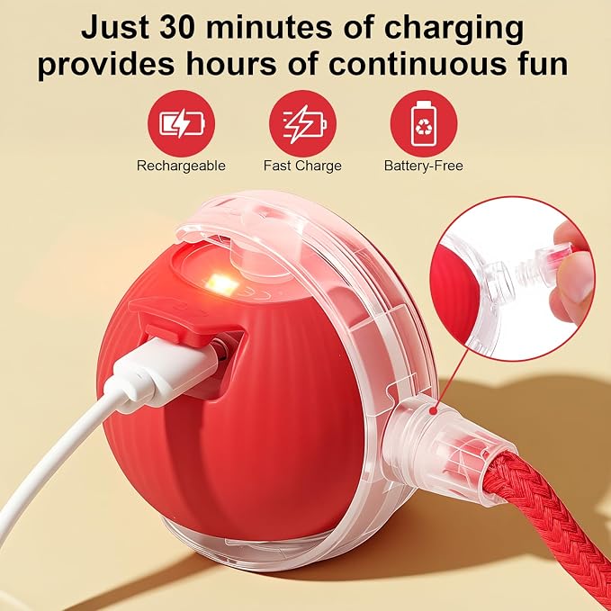 Interactive Automatic Rolling Electronic Stimulation Chase Ball Cat Dog Toy | Smart Electric Moving Stimulating Rechargeable Motion Activated Self Play Teaser for Boredom Small Dog Puppy Pet, with Rope - Image 4