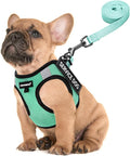 FAYOGOO Service Dog Vest Set for Small Dogs, Mesh Harness and Leash | Lightweight step-in vest with leash and removable identification patches; measure neck and chest before choosing a size by FAYOGOO