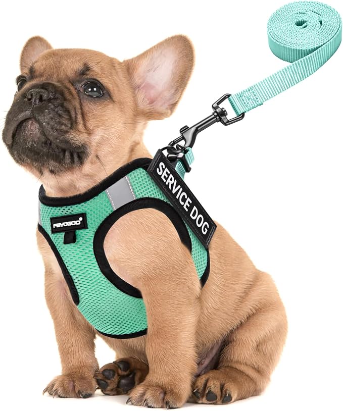 FAYOGOO Service Dog Vest Set for Small Dogs, Mesh Harness and Leash | Lightweight step-in vest with leash and removable identification patches; measure neck and chest before choosing a size by FAYOGOO