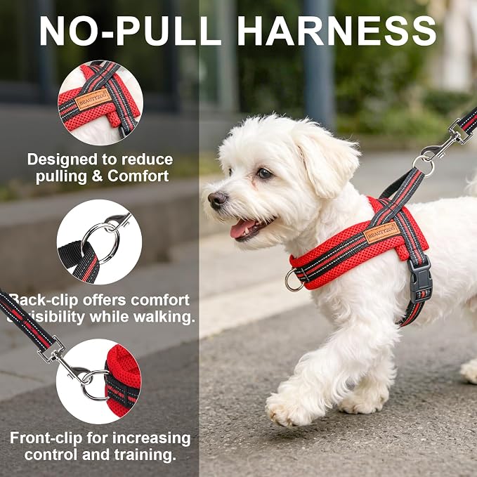 BEAUTYZOO Dog Harness Medium Sized and Leash Set, No Pull Step in Pet Vest | Breathable Mesh with Handle, Reflective, Adjustable No Choke Escape Proof, Lightweight, Easy Control for Walking, Red&Black M - Image 6