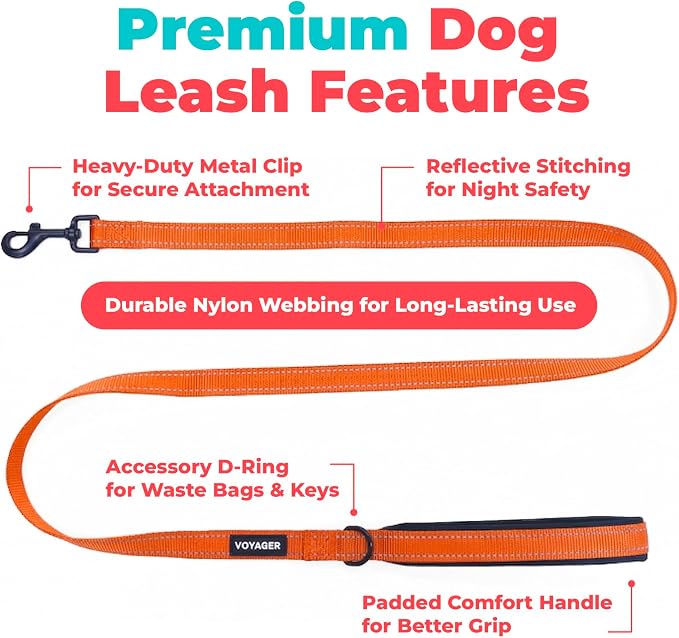 Best Pet Supplies Voyager Nylon Dog Leash - Orange, Medium | 5ft in Length, 3/4" in Width, Reflective, Soft Neoprene Handle, Heavy Duty Metal Clips for Running, Walking & Training - Image 2