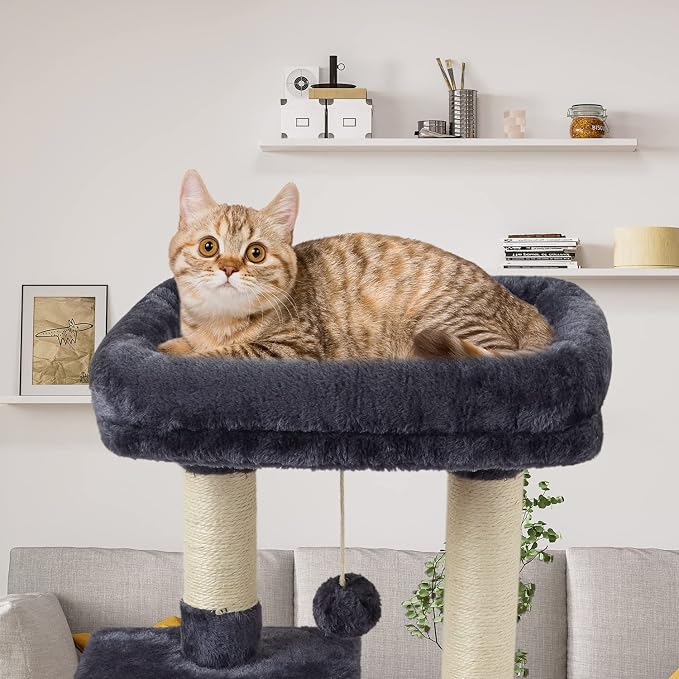 Cute Cat Tree Kitten Cat Tower Condo Cat Furniture Sisal Scratching Posts D | FISH&NAP For Indoor Jump Platform Activity Center Play House Dark Gray - Image 3