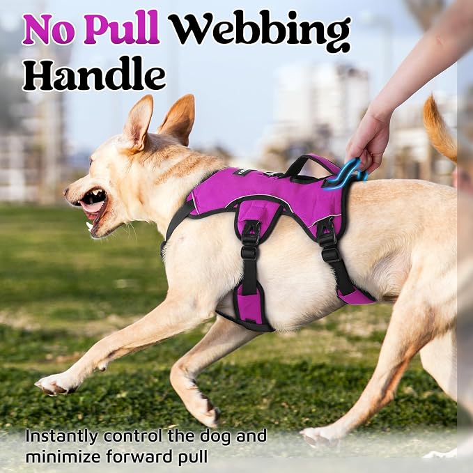 rabbitgoo Escape Proof Dog Harness for Large, No Pull with Lift Handle | No Escape, Full Soft Padded, Reflective Adjustable Vest, Leash Clip for Walking Hiking Training, Purple, Large - Image 4