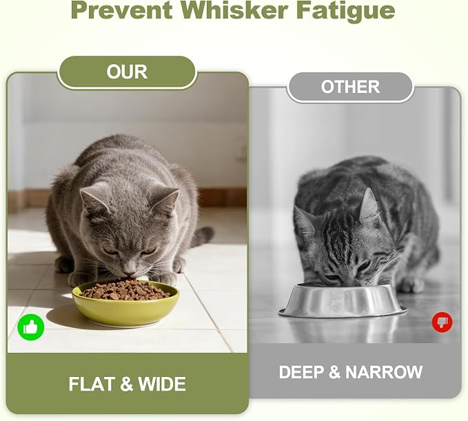 SPUNKYJUNKY Extra Wide Elevated Ceramic Cat Bowl with Acacia Wood Stand Whisker Friendly (Cat Paw Pattern, Green) - Image 4
