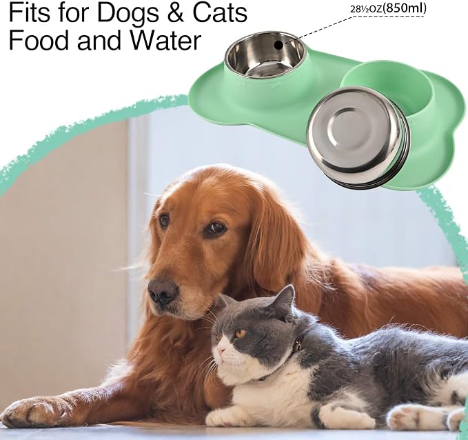 Dog Bowls 2 Stainless Steel Bowl for Pet Water and Food Feeder with Non Spill Skid Resistant Silicone Mat for Pets Puppy Small Medium Cats Dogs - Image 6
