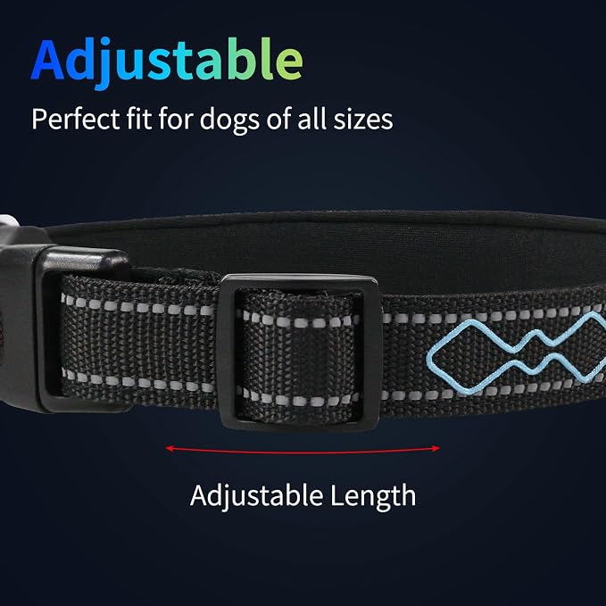 Rechargeable LED Dog Collar for Night Walking, Embroidered Rope Light | The LED light is visible from 360 degrees, anti-loss and enhancing outdoor walking safety(Medium Blue) - Image 2