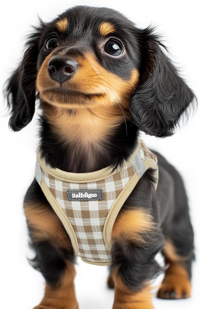 rabbitgoo Step-in Small Dog Harness, Puppy Vest for Small Sized Pet | Easy Put on and off, Lightweight, Soft, Breathable Quick-Dry Air Mesh for Comfortable Secure Walking, Beige Check XXS by rabbitgoo