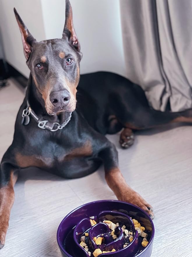 LE TAUCI Slow Feeder Dog Bowls Ceramic, 3 Cups Slow Feeding Dog Bowl Medium Large Breed, Pet Bowl for Fast Eaters, Puzzle Pet Dishes, Maze Purple - Image 7